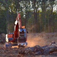 Tree Pruning - Various Methods That Are Used